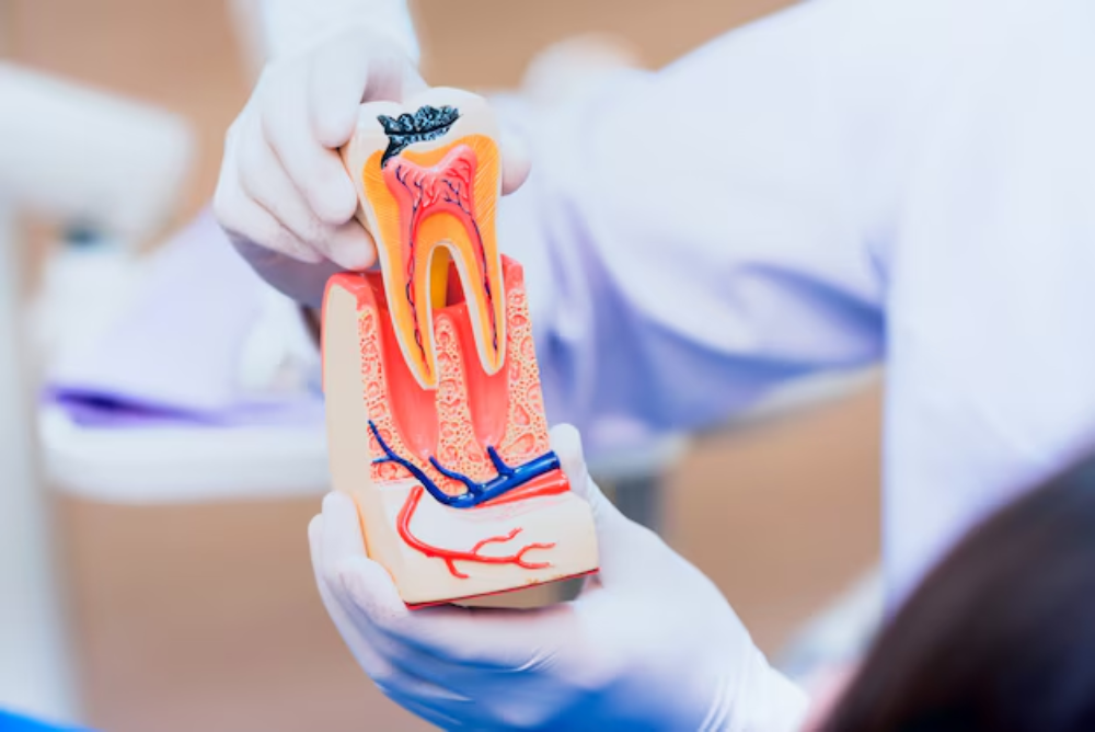 How Modern Technology Makes Root Canals Faster & Easier